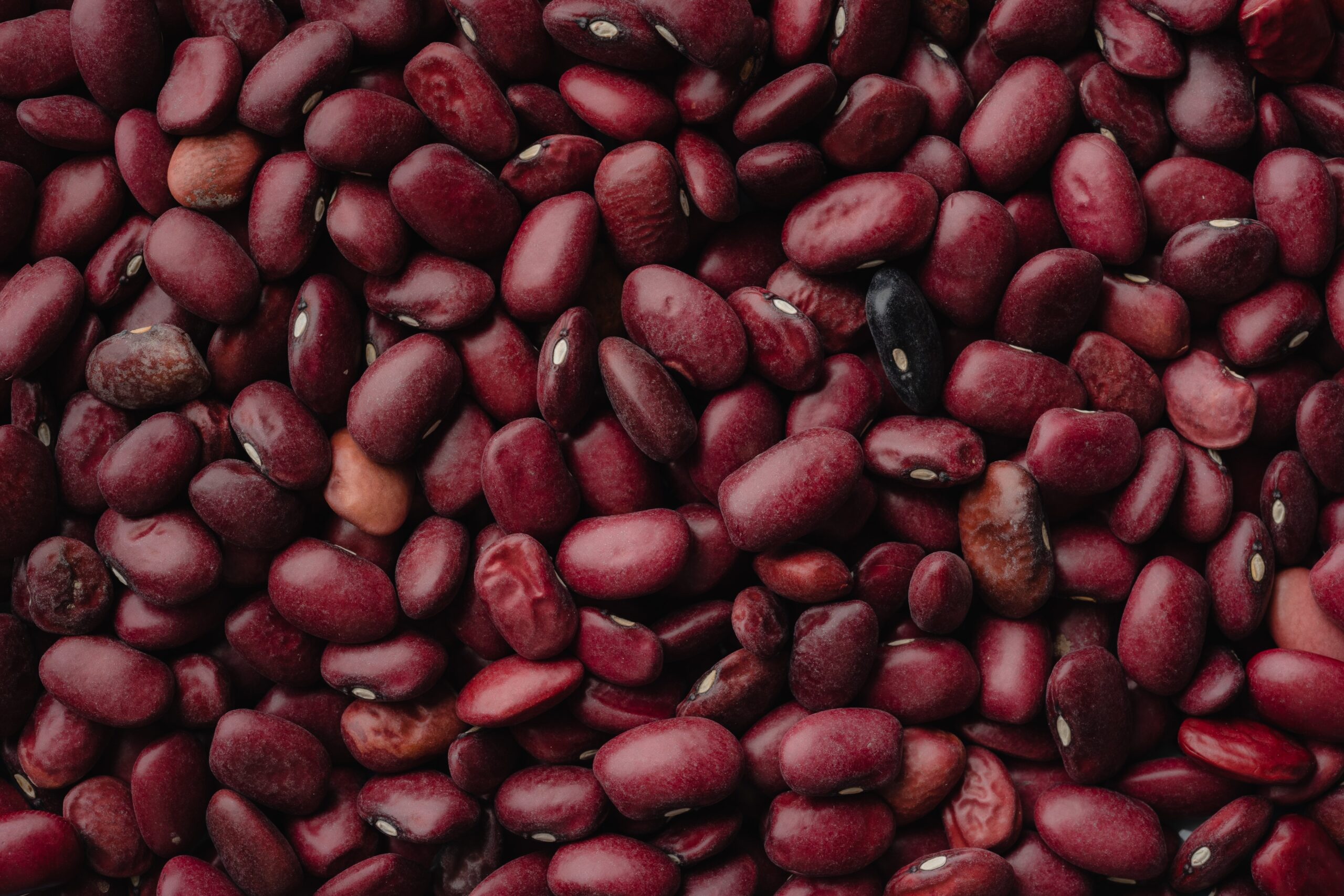 The Power and Benefits of Red Beans