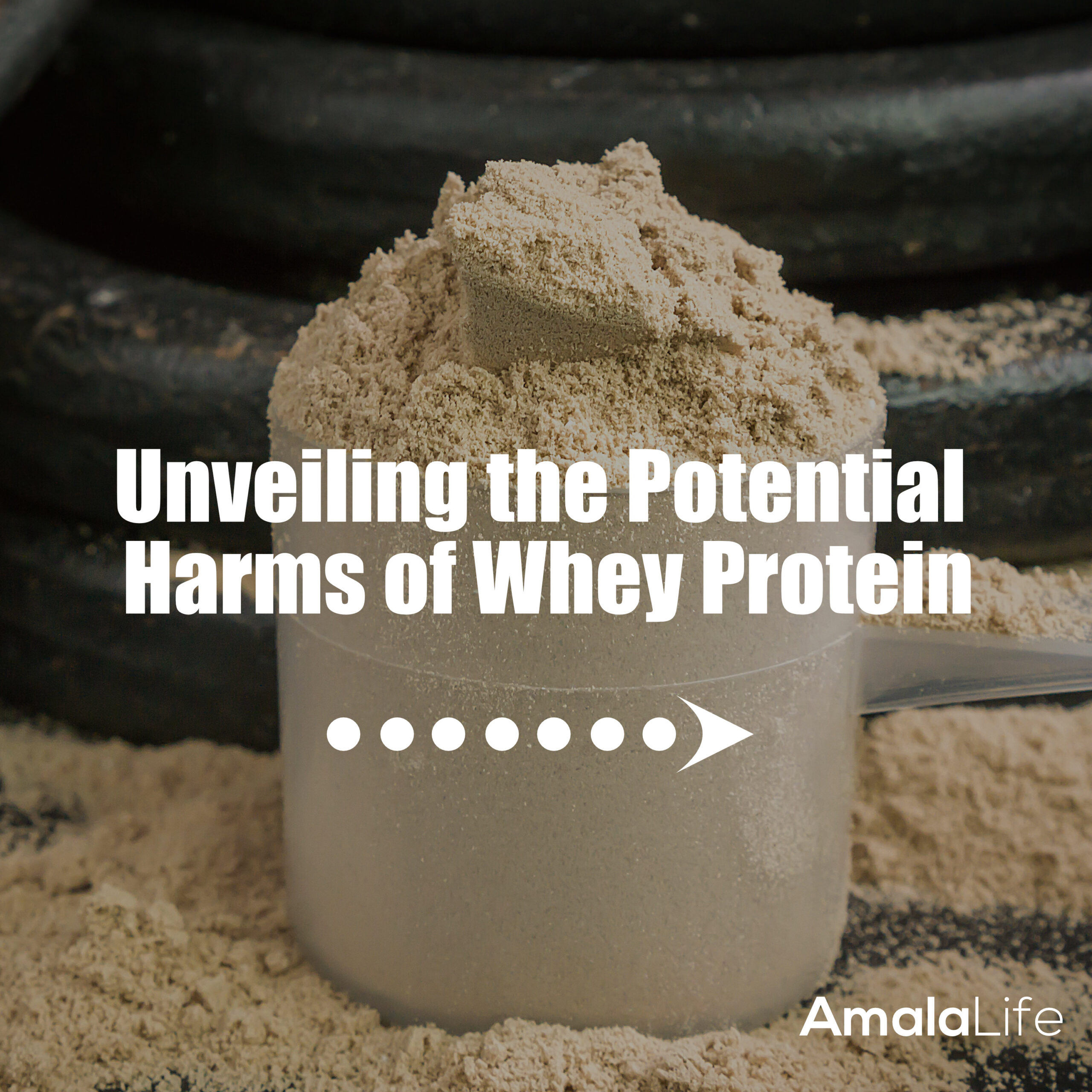 Unveiling the Potential Harms of Whey Protein