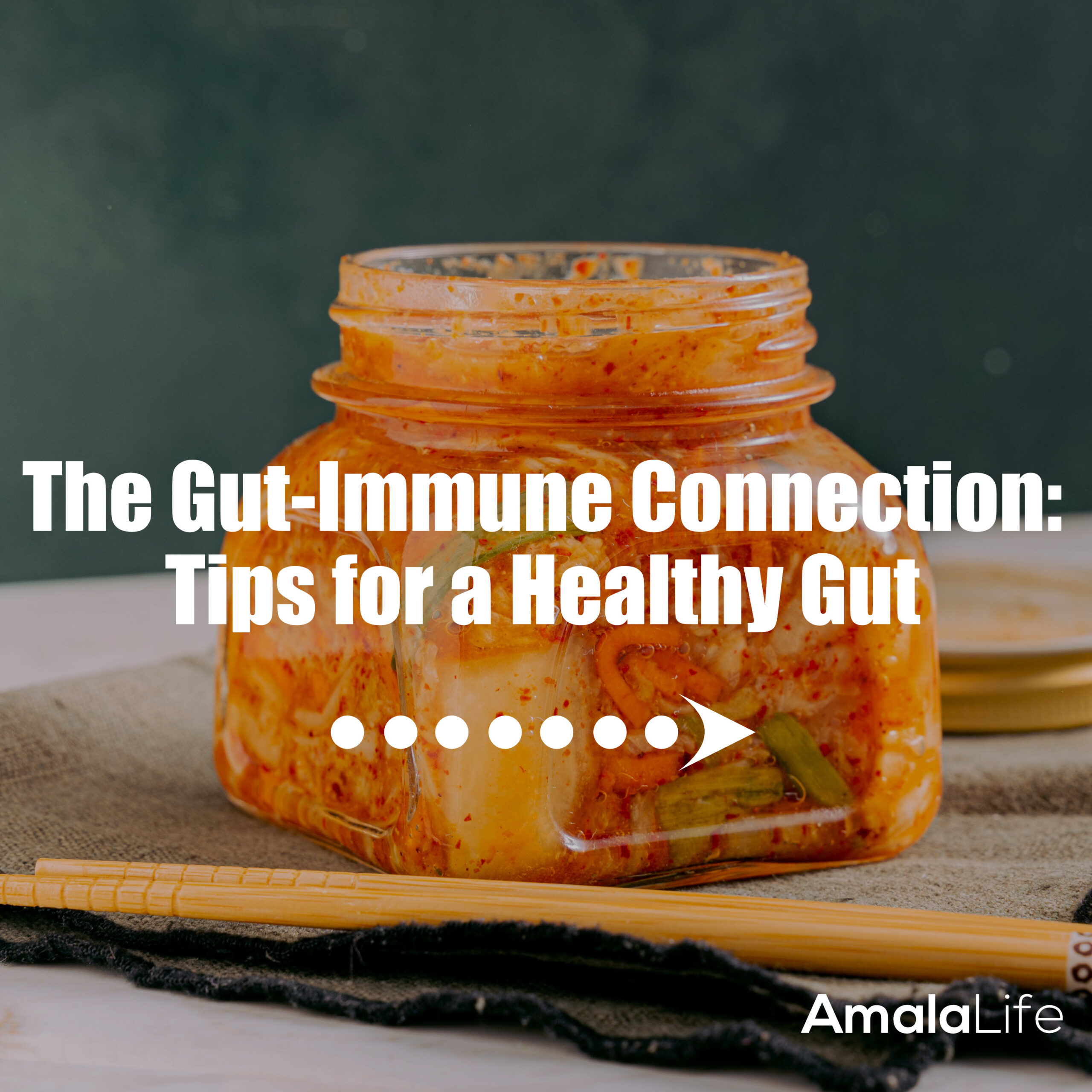 The Gut-Immune Connection: Tips for a Healthy Gut